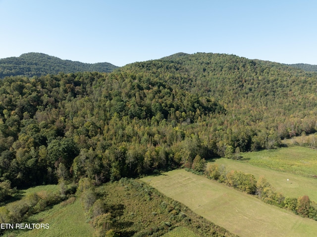 view of mountain feature