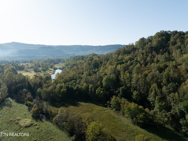 view of mountain feature