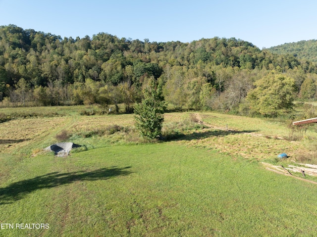 view of yard with a rural view