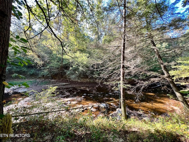 view of nature