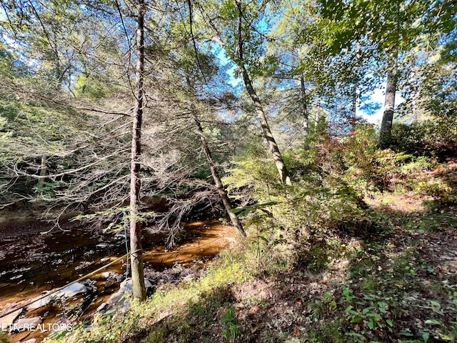 view of landscape