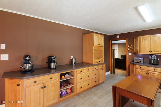 kitchen featuring ornamental molding and a textured ceiling