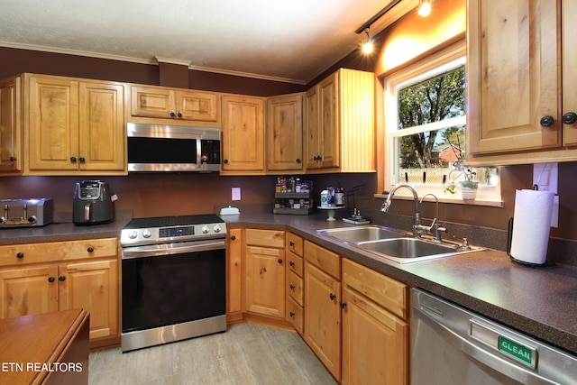 kitchen featuring sink, stainless steel appliances, light wood-type flooring, and ornamental molding