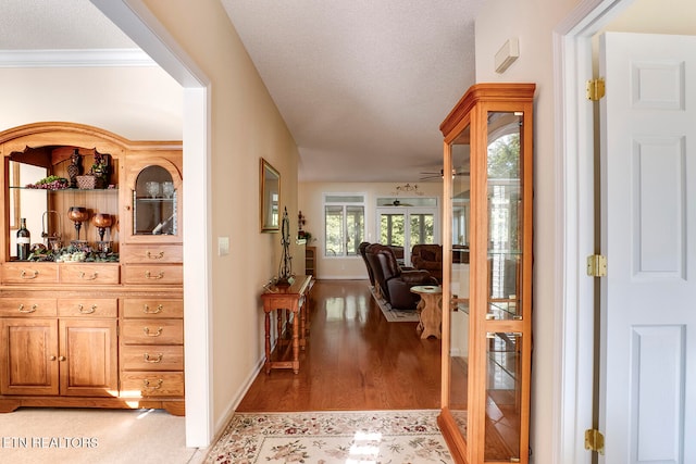 hallway featuring a textured ceiling, light hardwood / wood-style flooring, and crown molding