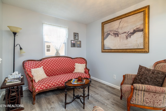 living area featuring hardwood / wood-style floors