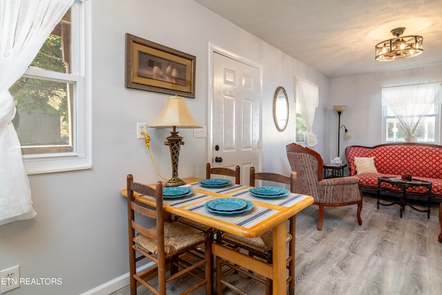 dining space with wood-type flooring and plenty of natural light