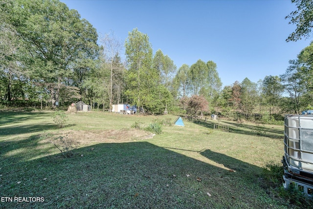 view of yard with a shed