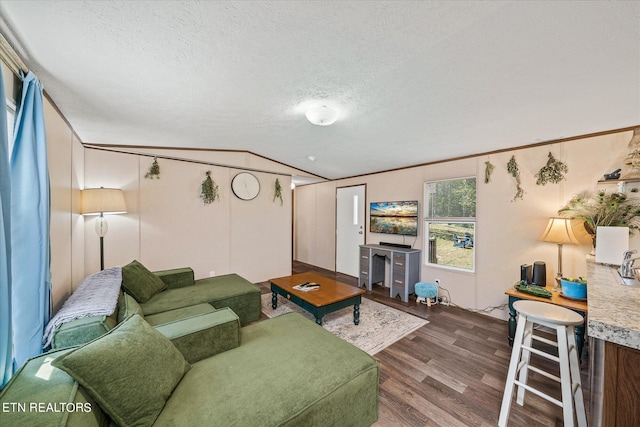 living room featuring lofted ceiling, a textured ceiling, and dark wood-type flooring