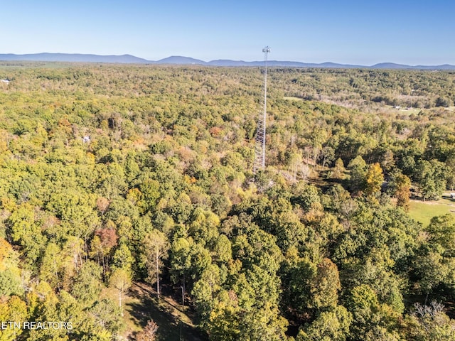 aerial view with a mountain view