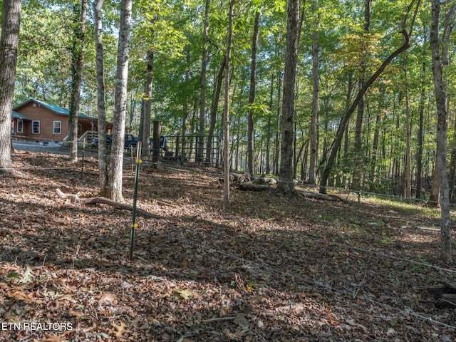 view of local wilderness