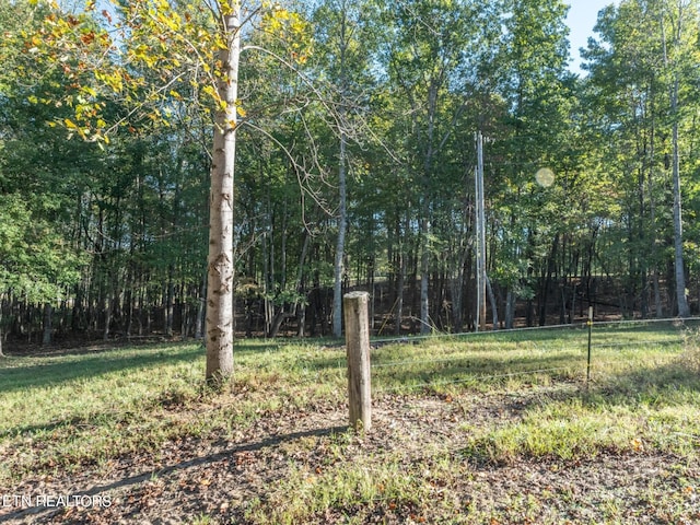 view of local wilderness