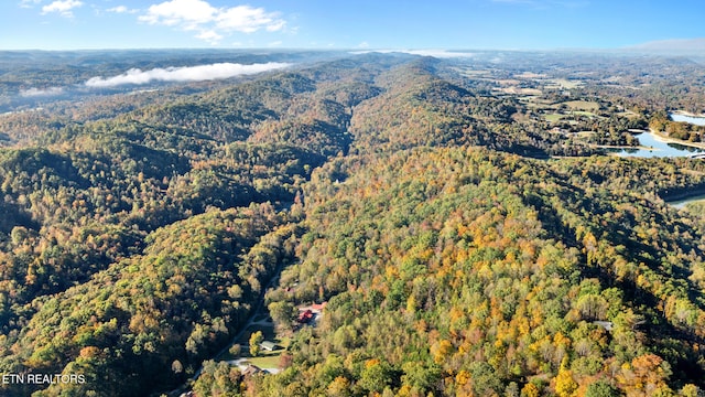 birds eye view of property featuring a water and mountain view