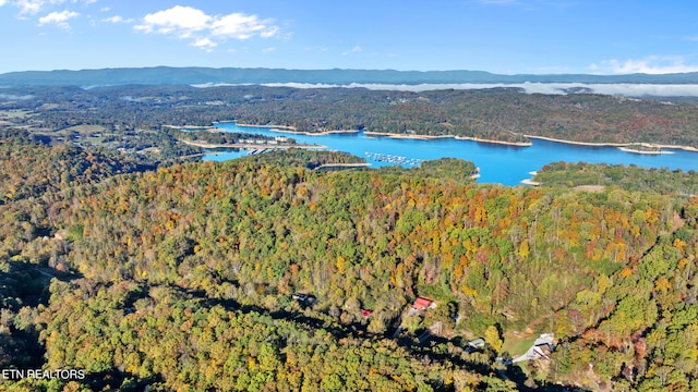 drone / aerial view with a water and mountain view