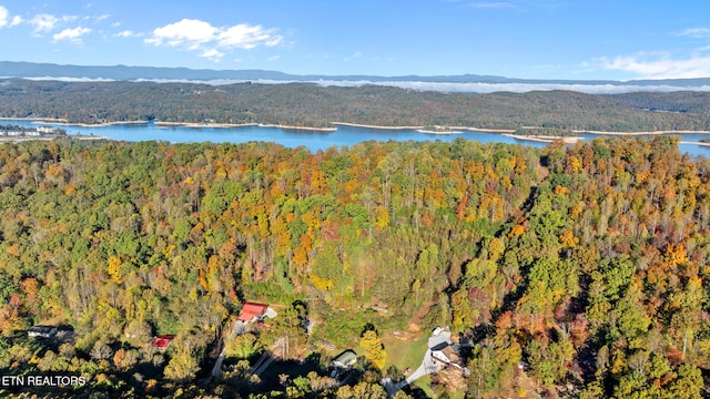 bird's eye view featuring a water and mountain view