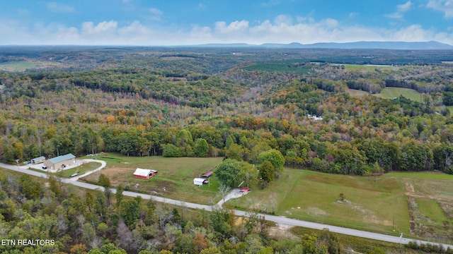 bird's eye view featuring a mountain view