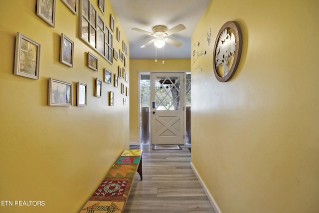 doorway with ceiling fan and wood-type flooring