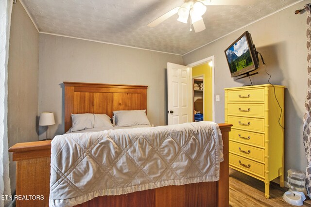 bedroom featuring light hardwood / wood-style floors and ceiling fan