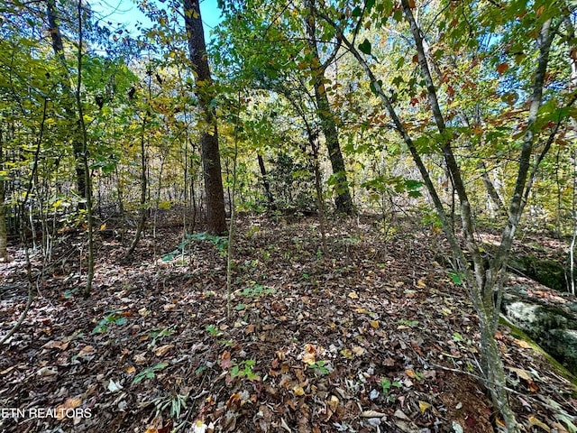 Listing photo 3 for LOT46 Honey Springs Rd, Crawford TN 38554