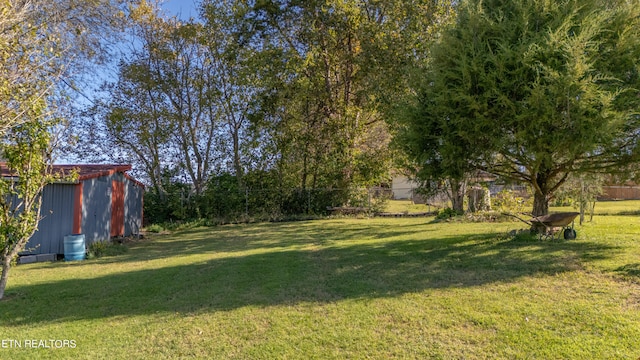 view of yard with a shed