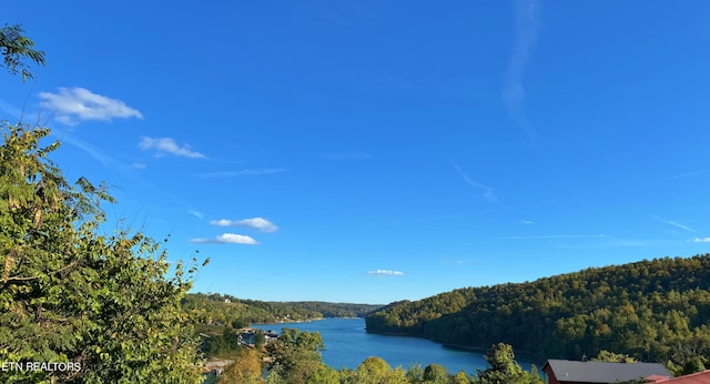 240 Mariner Point Rd, Lafollette, TN 37766 - water view featuring a forest view