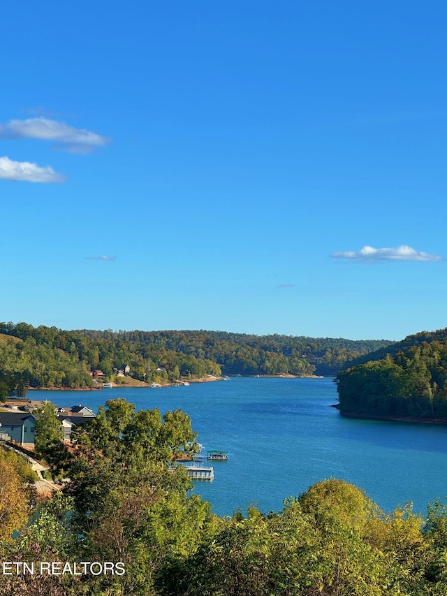 240 Mariner Point Rd, Lafollette, TN 37766 - water view featuring a forest view