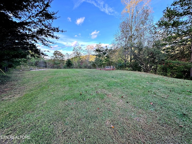 240 Mariner Point Rd, Lafollette, TN 37766 - view of yard