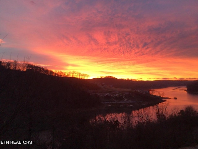 240 Mariner Point Rd, Lafollette, TN 37766 - water view