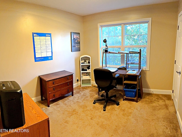 240 Mariner Point Rd, Lafollette, TN 37766 - carpeted home office featuring baseboards