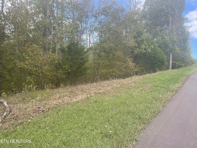 Spotted Fawn Ln, Dandridge TN, 37725 land for sale