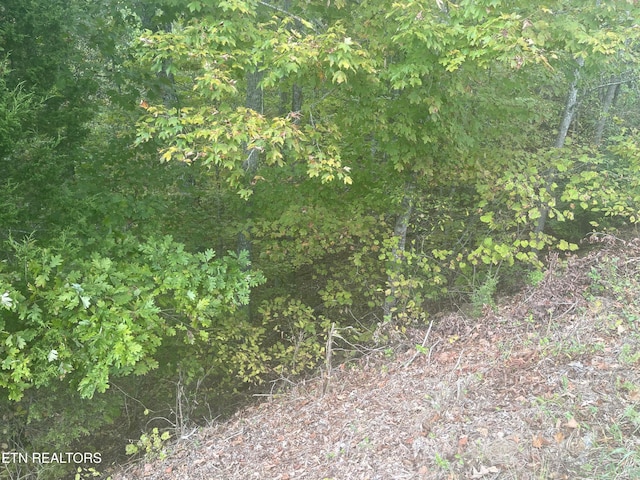 Listing photo 3 for Spotted Fawn Ln, Dandridge TN 37725