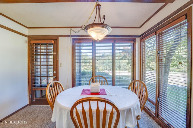 dining room with ornamental molding, a textured ceiling, and carpet flooring