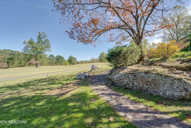 view of yard with a rural view