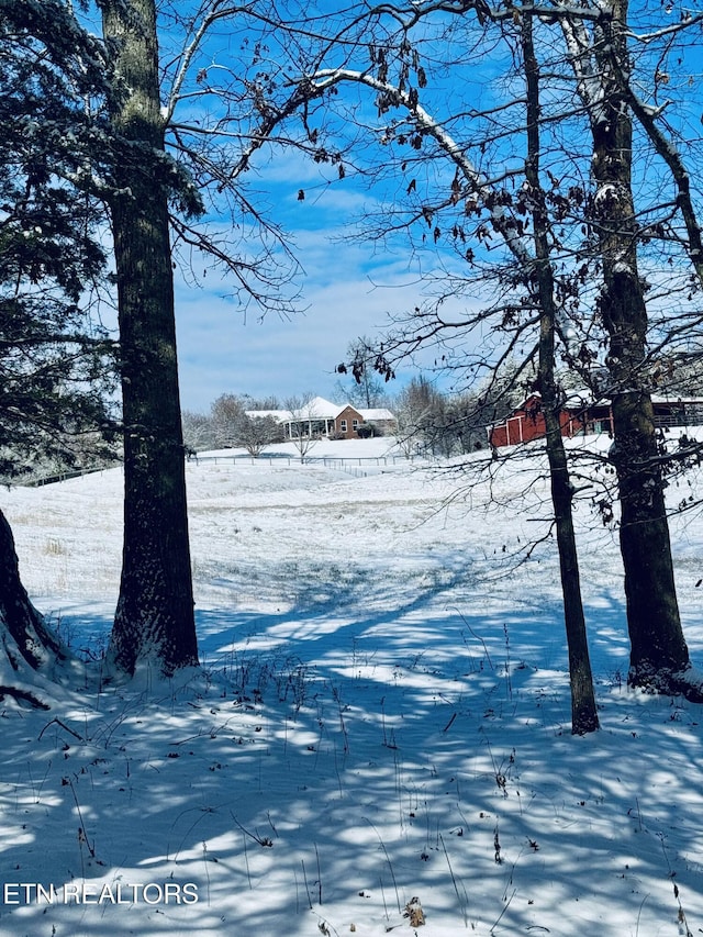 view of yard covered in snow