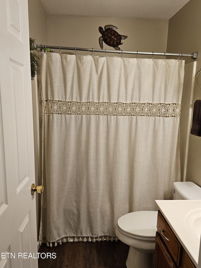 bathroom featuring toilet, curtained shower, and vanity