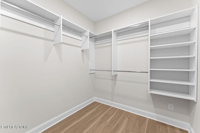 spacious closet with hardwood / wood-style flooring