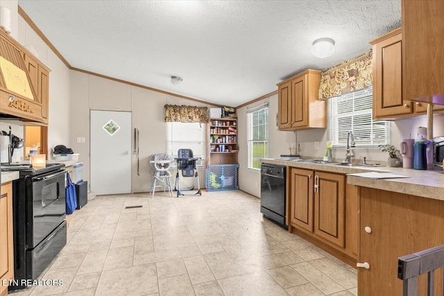 kitchen featuring lofted ceiling, ornamental molding, sink, a textured ceiling, and black appliances