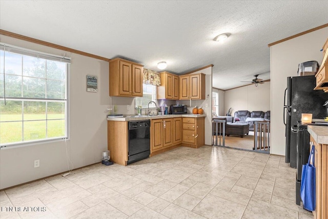 kitchen with black dishwasher, plenty of natural light, and crown molding