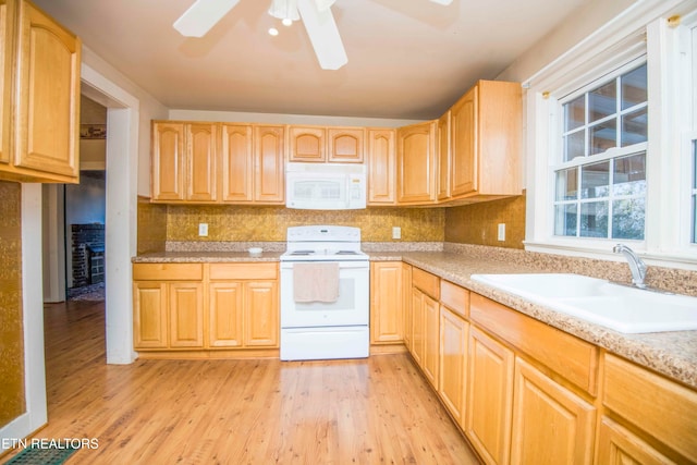 kitchen featuring light brown cabinets, light hardwood / wood-style flooring, sink, and white appliances