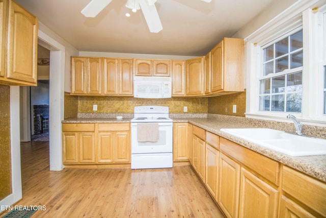 kitchen featuring light wood-style floors, a sink, ceiling fan, and white appliances