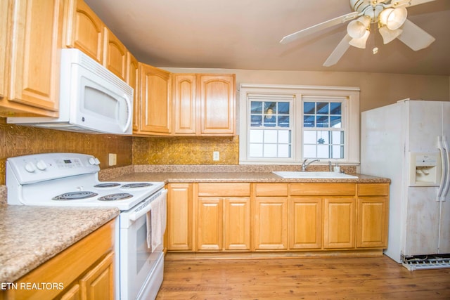 kitchen with white appliances, ceiling fan, sink, and light wood-type flooring