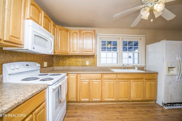 kitchen featuring ceiling fan, backsplash, a sink, light wood finished floors, and white appliances