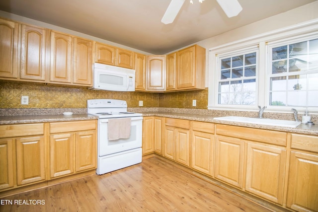 kitchen featuring a sink, white appliances, a ceiling fan, light wood-type flooring, and tasteful backsplash