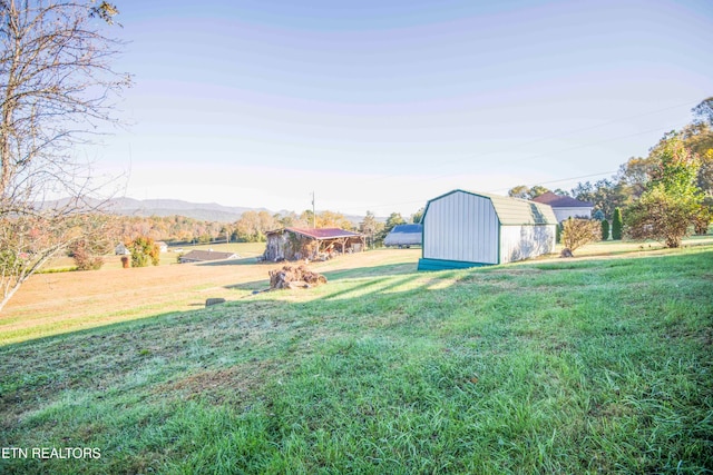 view of yard with a storage shed and a mountain view