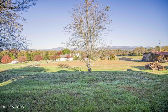 view of yard with a mountain view