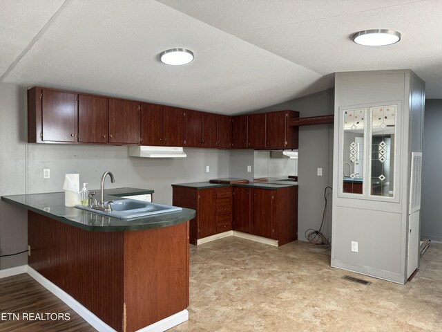 11806 Dry Valley Rd, Loudon, TN 37774 - kitchen with a peninsula, a sink, dark countertops, light flooring, and lofted ceiling