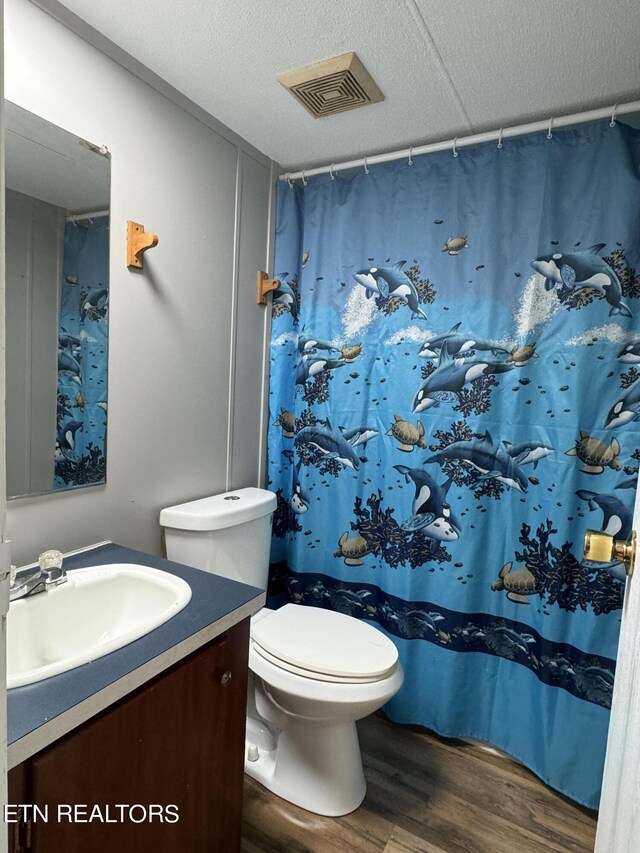 11806 Dry Valley Rd, Loudon, TN 37774 - bathroom with wood finished floors, vanity, a textured ceiling, toilet, and a shower with shower curtain