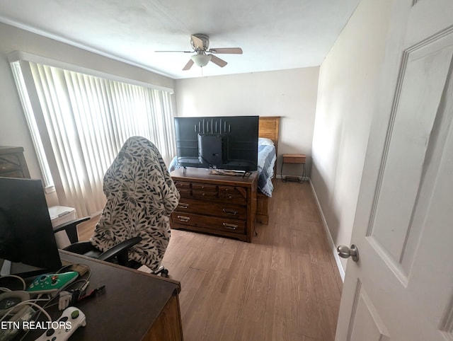 office featuring ceiling fan and light wood-type flooring