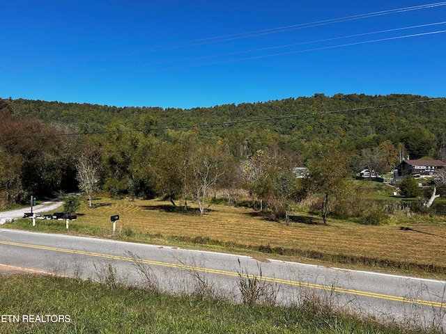 Listing photo 3 for 1483 Reagan Valley Rd, Tellico Plains TN 37385