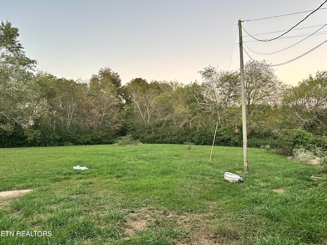 view of yard at dusk