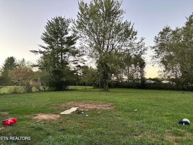 view of yard at dusk